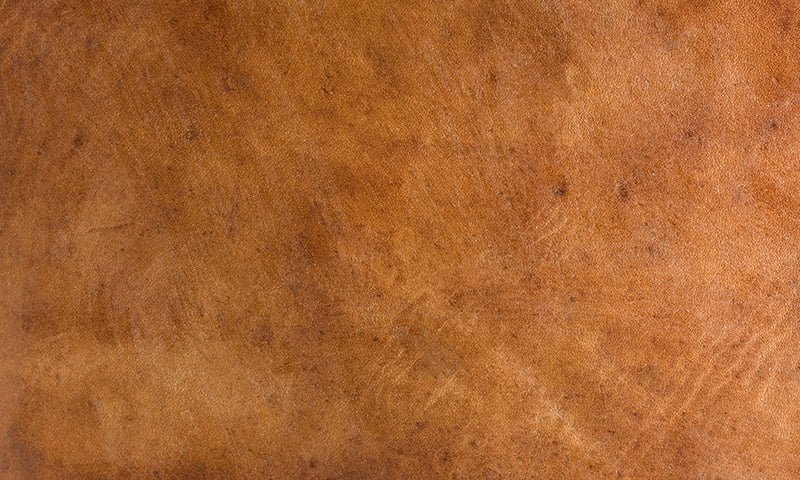 Vegan Leather, Cashmere Wood, Osmanthus, Pepper, Geranium