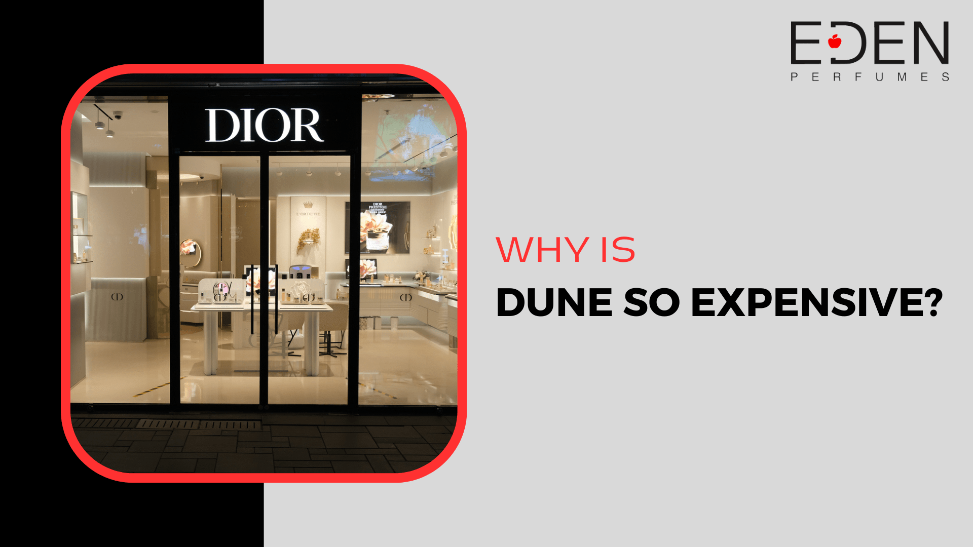 Why is Dune so expensive?